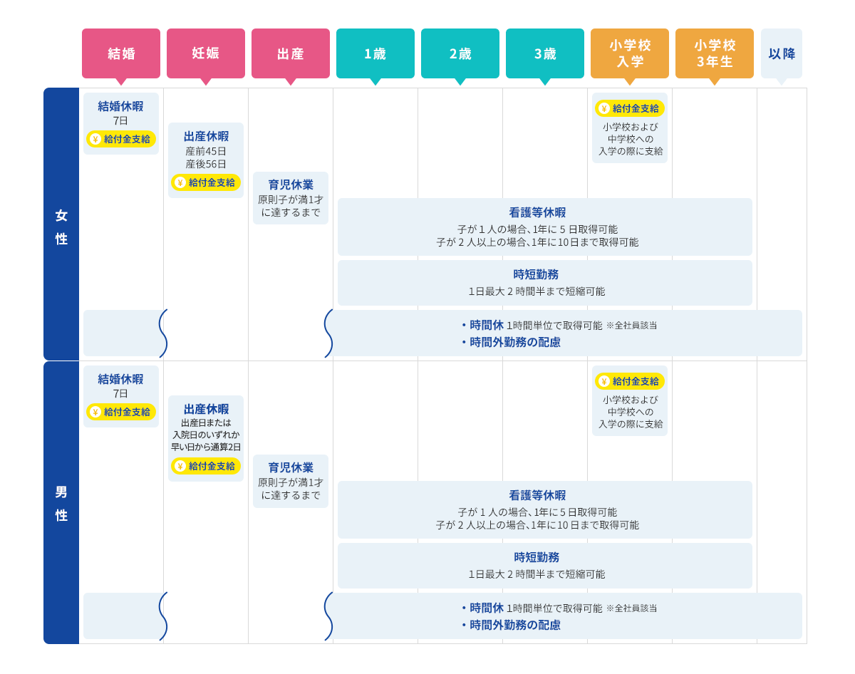 女性と男性の働き方年表