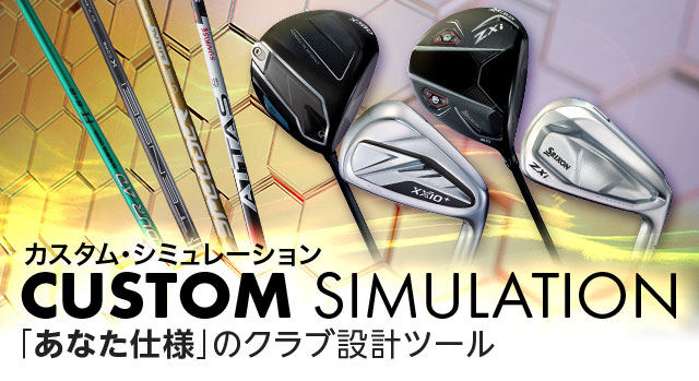 カスタム・シミュレーション