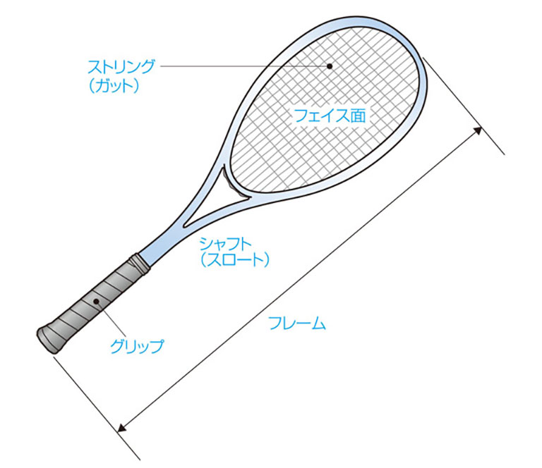 入門ガイド 基礎編 ソフトテニスを知る Dunlop Soft Tennis Navi