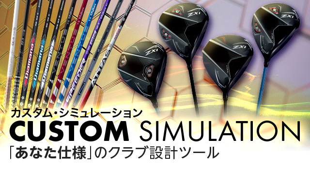 カスタム・シミュレーション カスタム・シミュレーション
