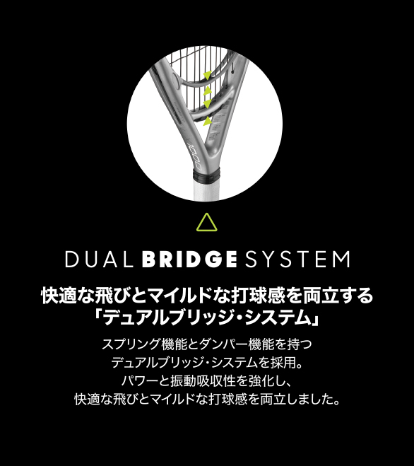 DUAL BRIDGE SYSTEM